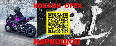 jwh Будённовск