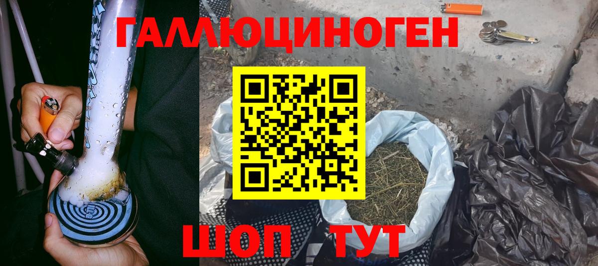 Галлюциногенные грибы Psilocybine cubensis  Вход с VPN  наркотики  Геленджик 